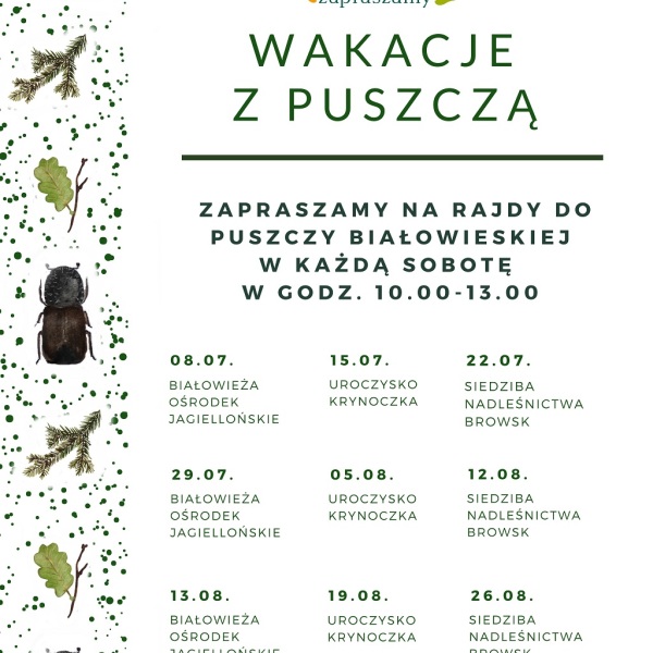 Nadleśnictwo Ustrzyki Dolne zaprasza na wakacyjną przygodę w Puszczy Białowieskiej