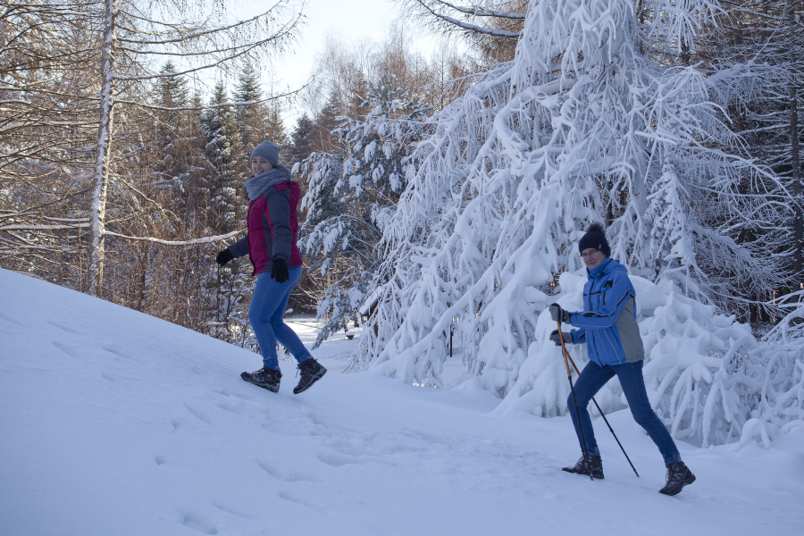 Nordic Walking