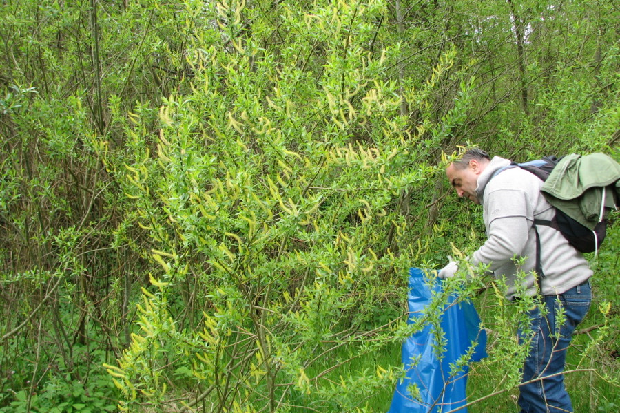 Sprzątanie szlaków spacerowych