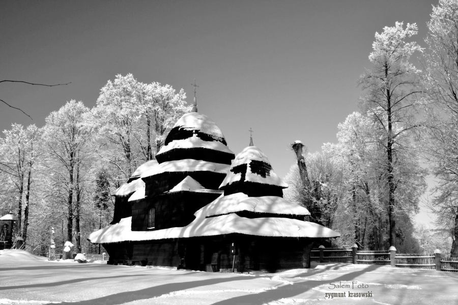 Wooden Architecture Trail