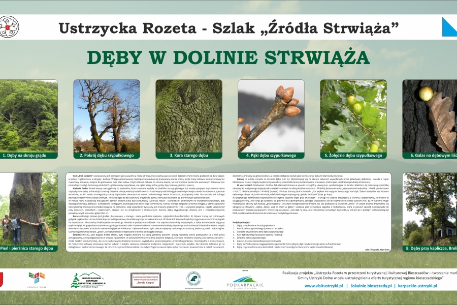 Szlak Źródła Strwiąża