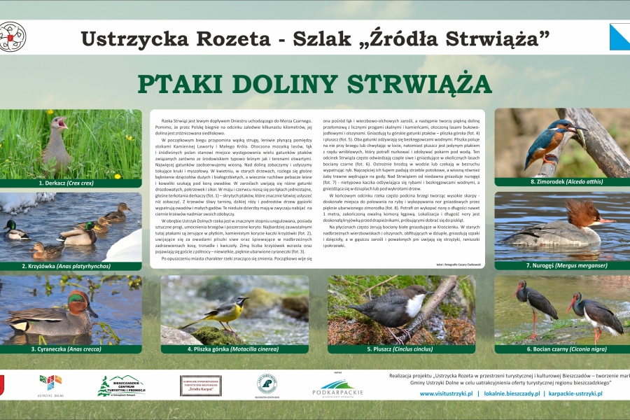 Szlak Źródła Strwiąża