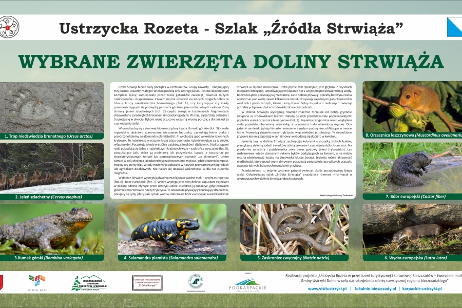 Szlak Źródła Strwiąża