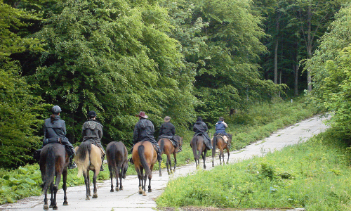 Equestrian tourism