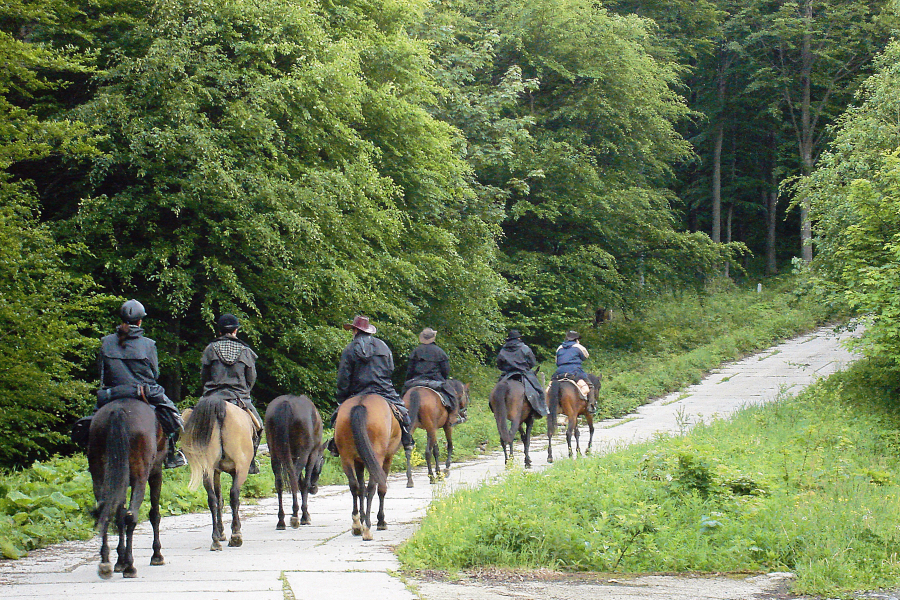 Equestrian tourism