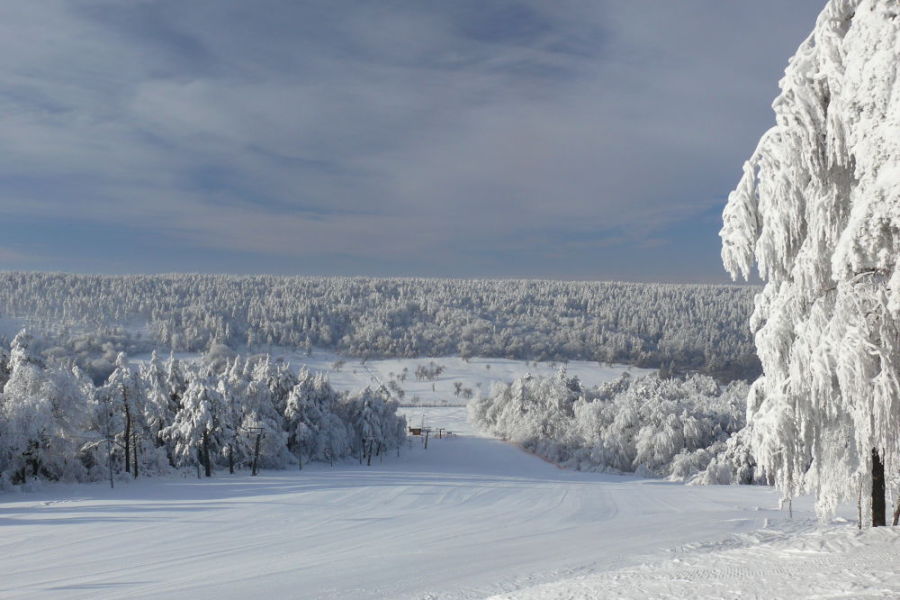 Das Skigebiet 